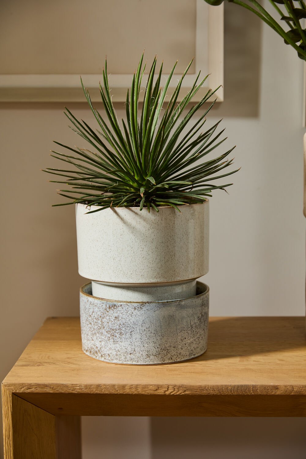 Alba Pot & Saucer - ME & Décor