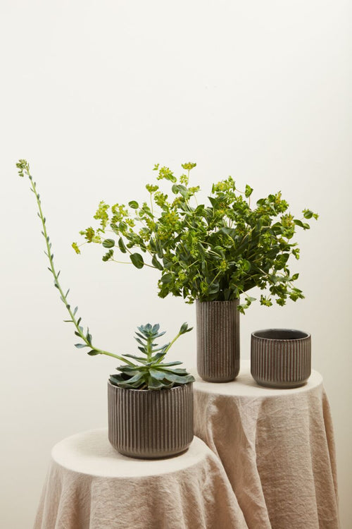 Liora Striped Vase