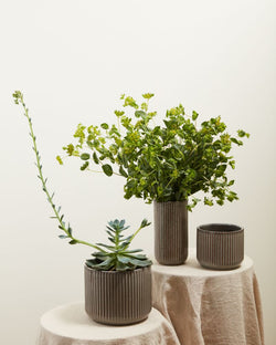 Liora Striped Vase