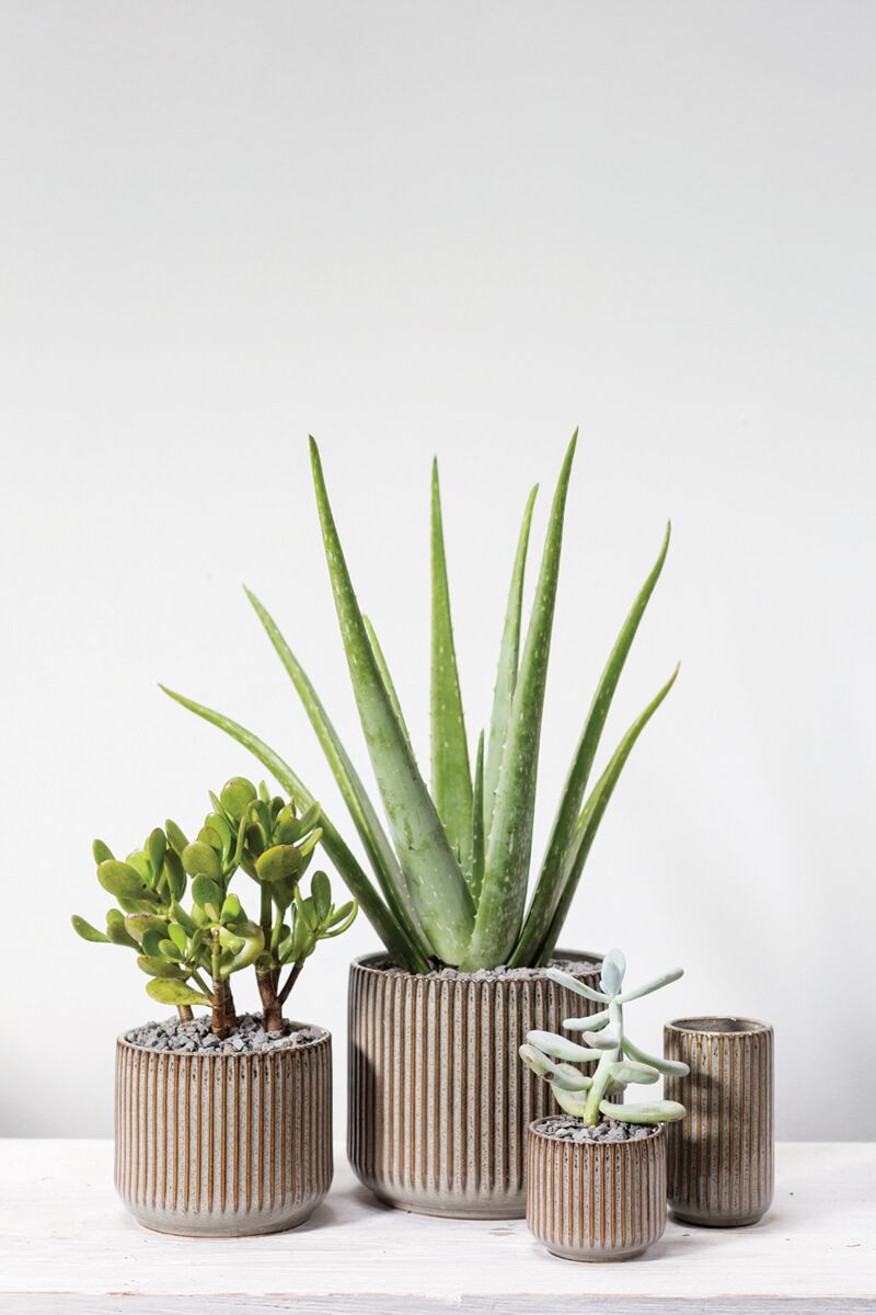 Liora Striped Vase - ME & Décor