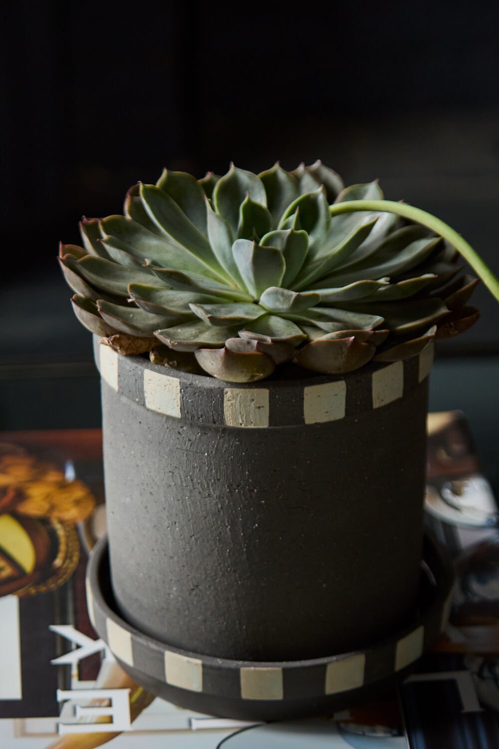 Onyx Pot & Saucer - ME & Décor