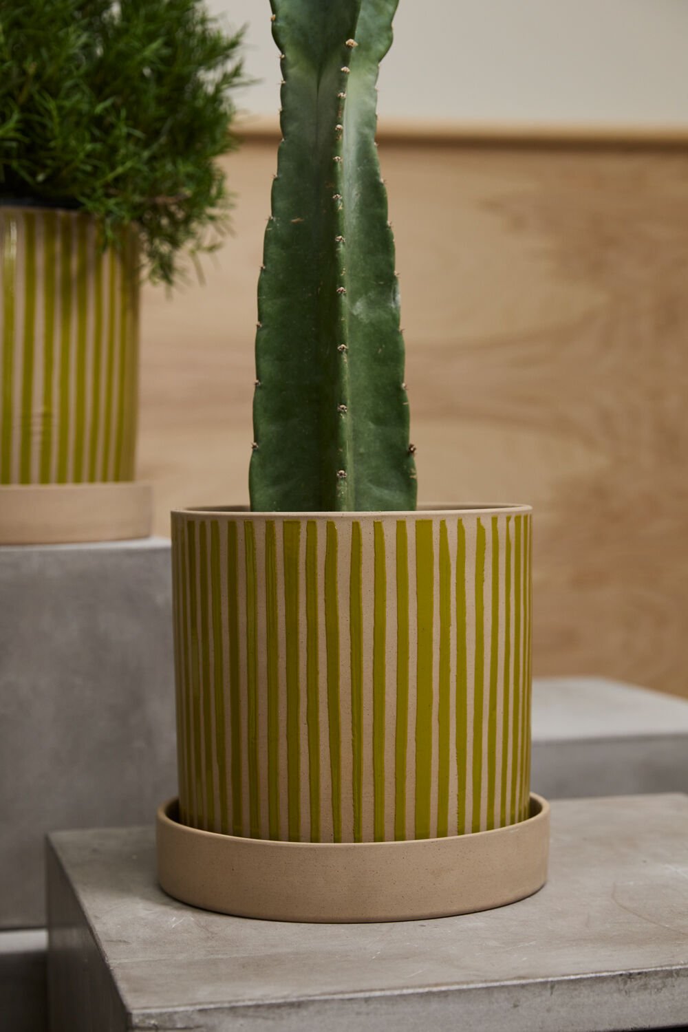 Solis Ochre Pot & Saucer - ME & Décor