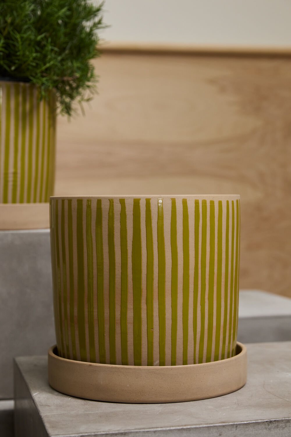 Solis Ochre Pot & Saucer - ME & Décor