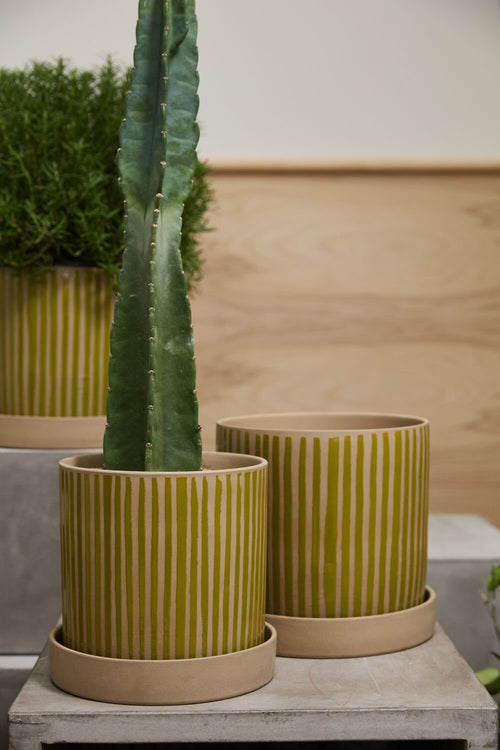 Solis Ochre Pot & Saucer - ME & Décor